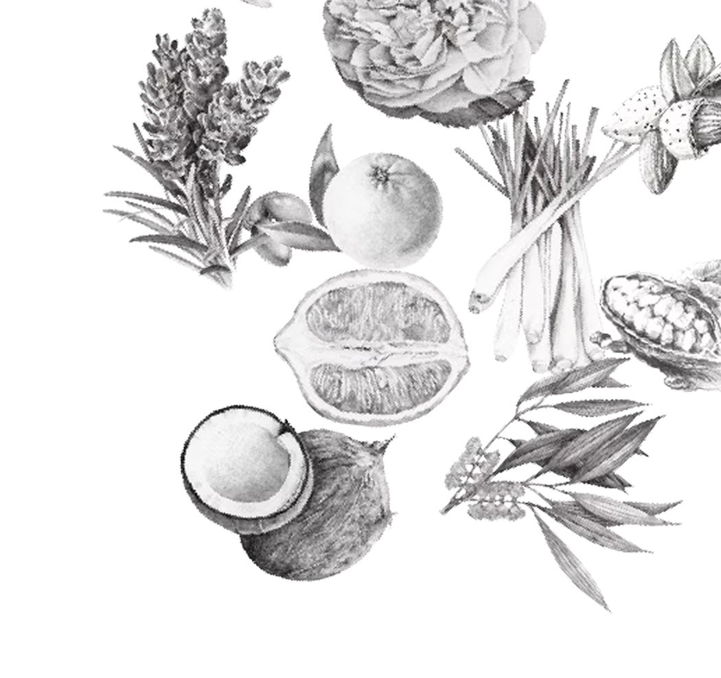 Natural Ingredients